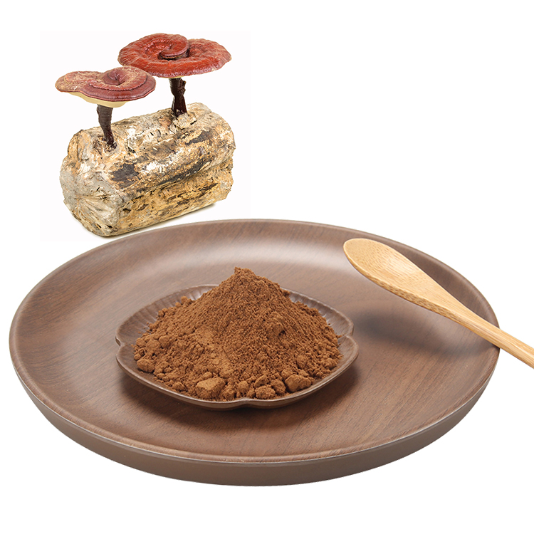 Ganoderma Lucidum Organic Extract for Longevity